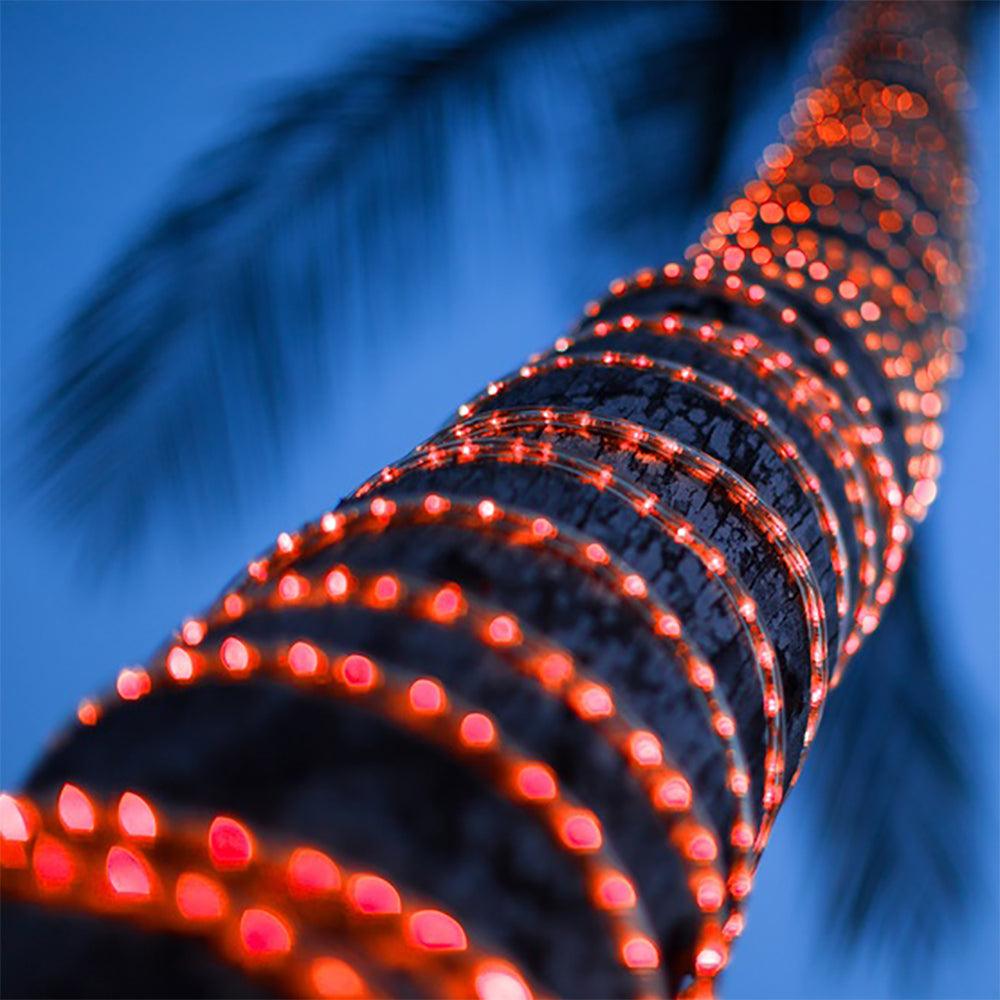 RL100 LED Low Voltage Rope Lights Outdoor IP65 3000K, 5000K, Multi Color RGB, Pink, Purple, Red, Yellow, Blue, Green