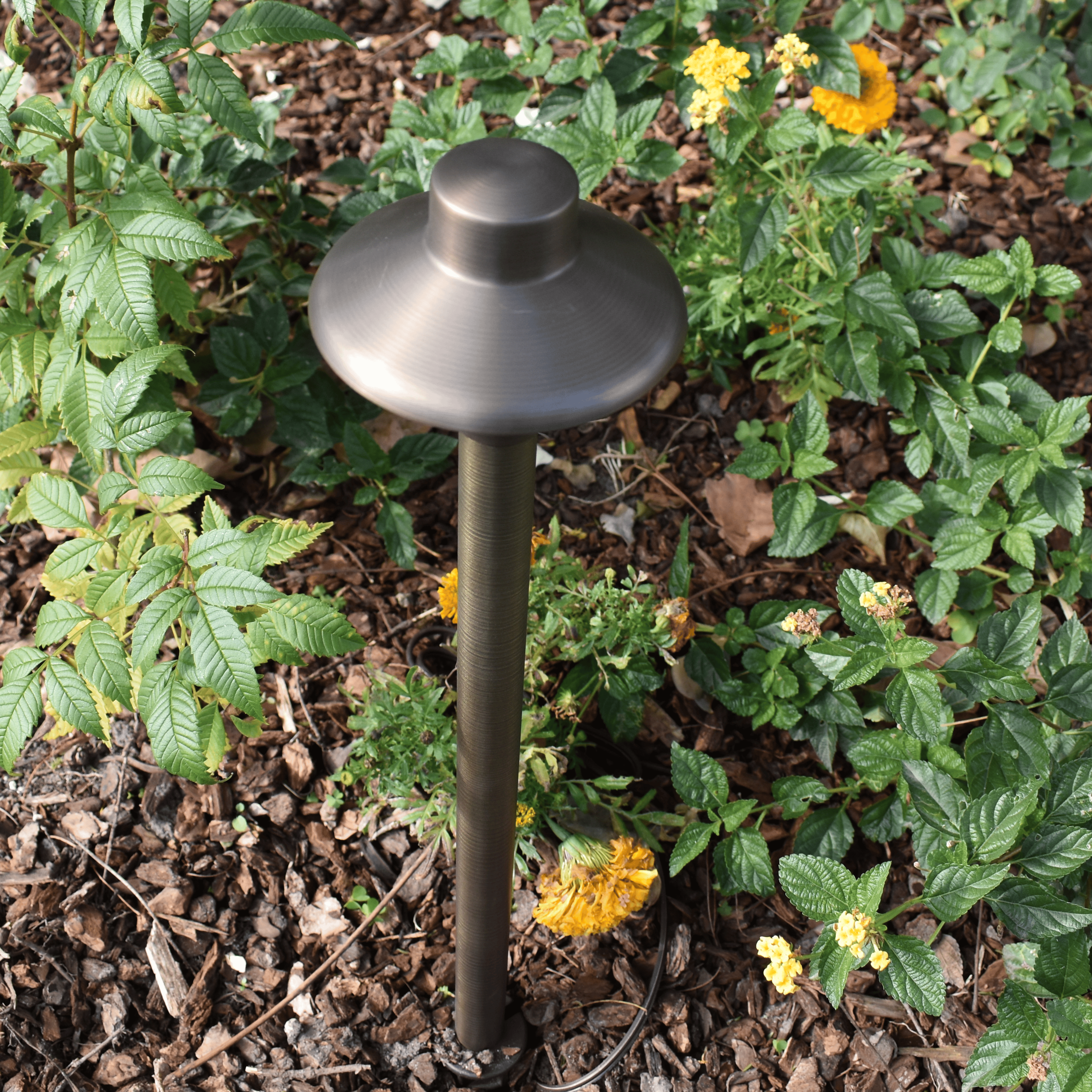Capuchon Solid Cast Brass Path &amp; Area Light - Natural Bronze Low Voltage Outdoor Lighting